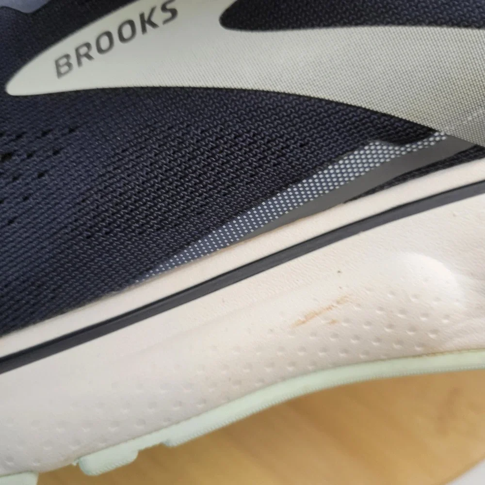 Brooks ghost 15